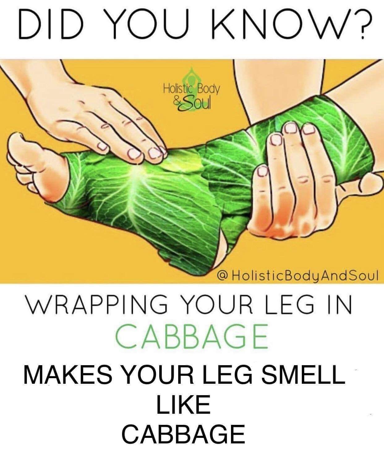 pseudoscience meme - Did You Know? Holistic Body & Soul @ HolisticBody And Soul Wrapping Your Leg In Cabbage Makes Your Leg Smell Cabbage