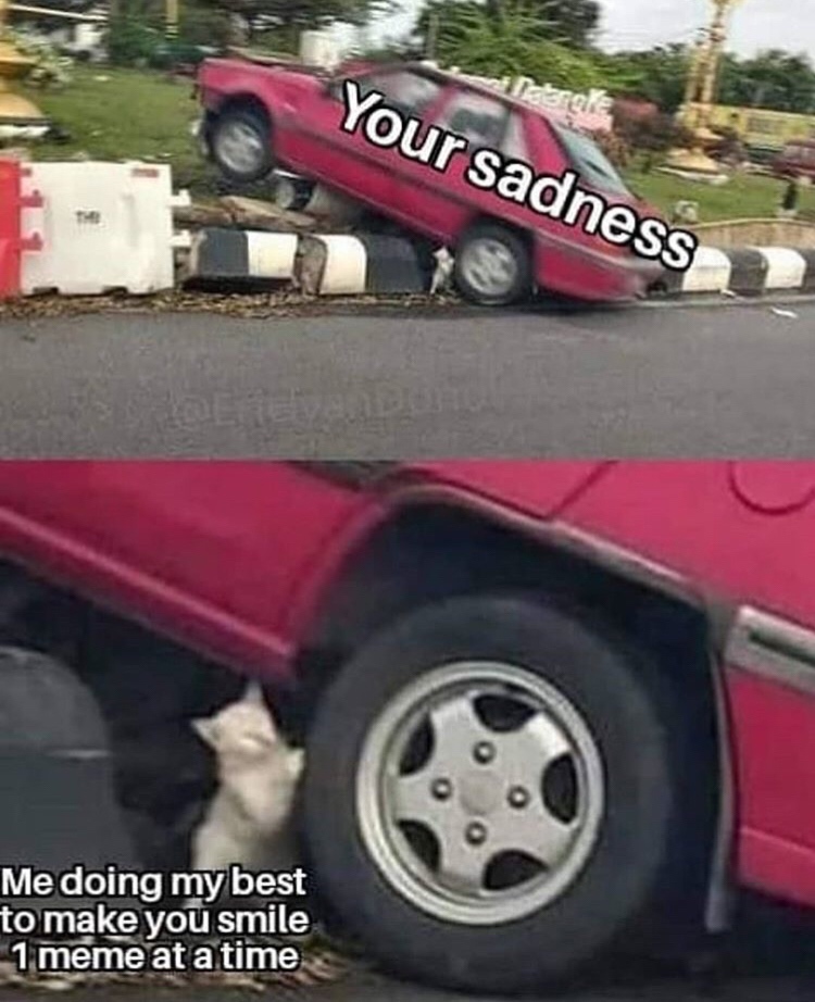 your sadness meme car - Your sadness Me doing my best to make you smile 1 meme at a time