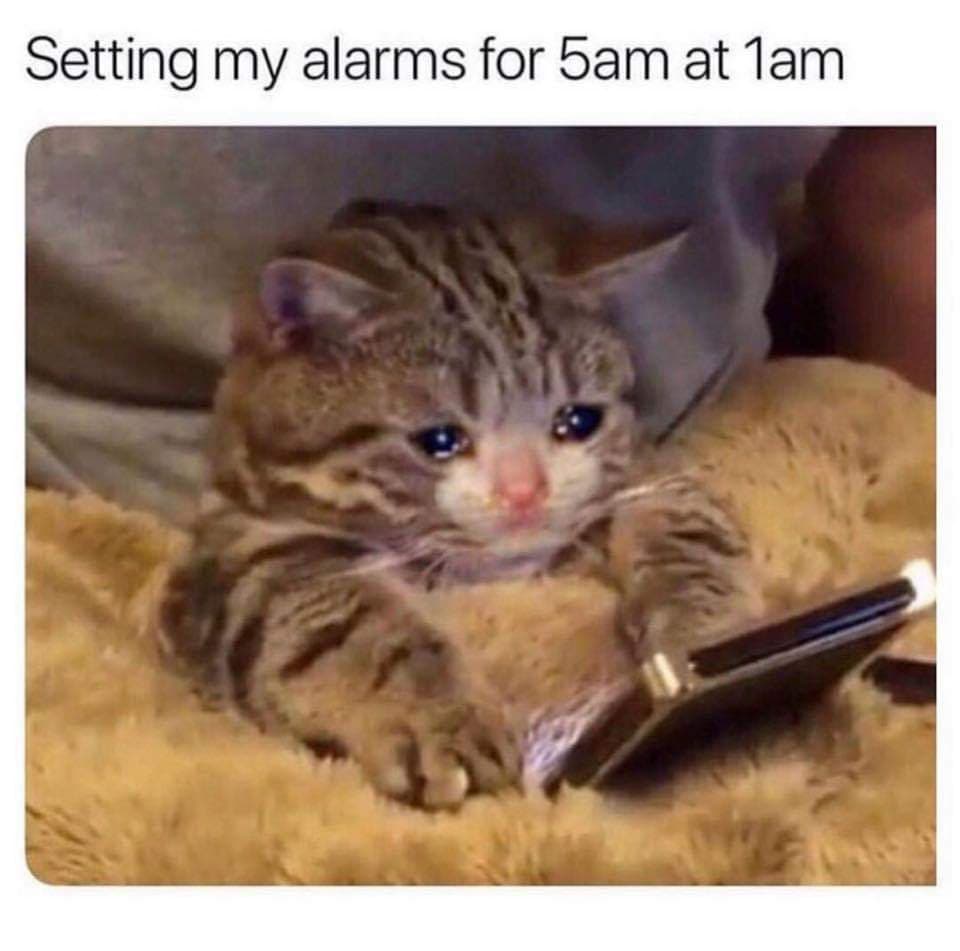 monday meme - setting my alarm for 5am at 1am - Setting my alarms for 5am at 1am