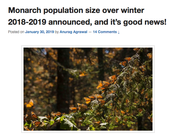 vegetation - Monarch population size over winter 20182019 announced, and it's good news! Posted on by Anurag Agrawal 14