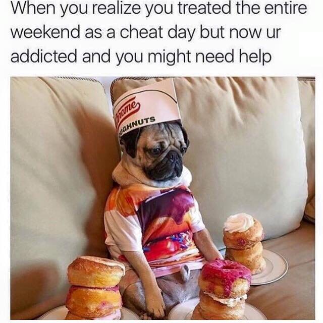 weekend funny meme - When you realize you treated the entire weekend as a cheat day but now ur addicted and you might need help sme Johnuts