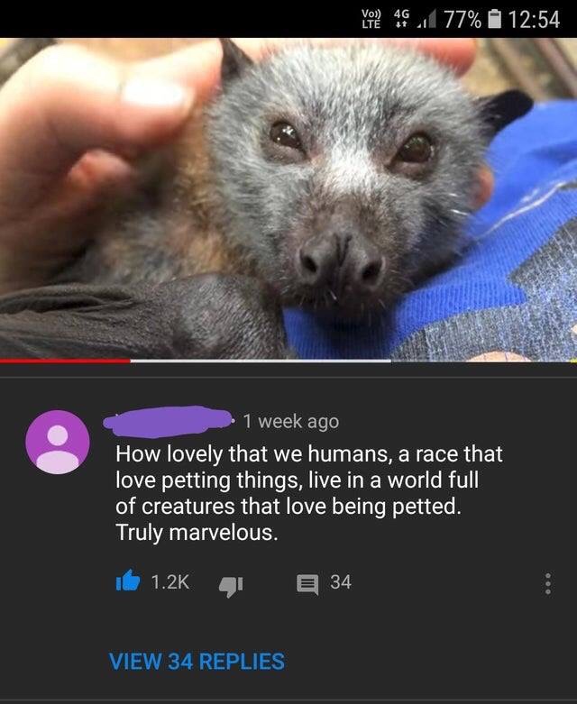 4G - Voeg 77% 1 week ago How lovely that we humans, a race that love petting things, live in a world full, of creatures that love being petted. Truly marvelous. Id 34 View 34 Replies