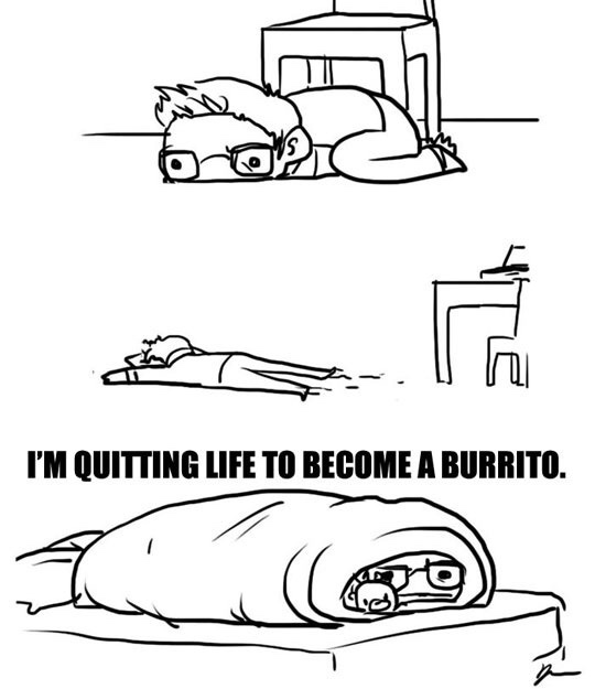 i m quitting life to become a burrito - I'M Quitting Life To Become A Burrito.