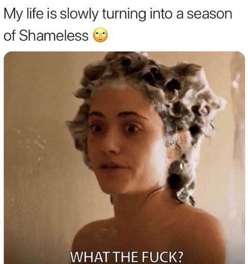shameless memes - My life is slowly turning into a season of Shameless What The Fuck?