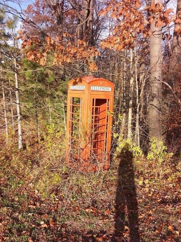 wtf phone booth in the middle of the woods - Endnou Telephone