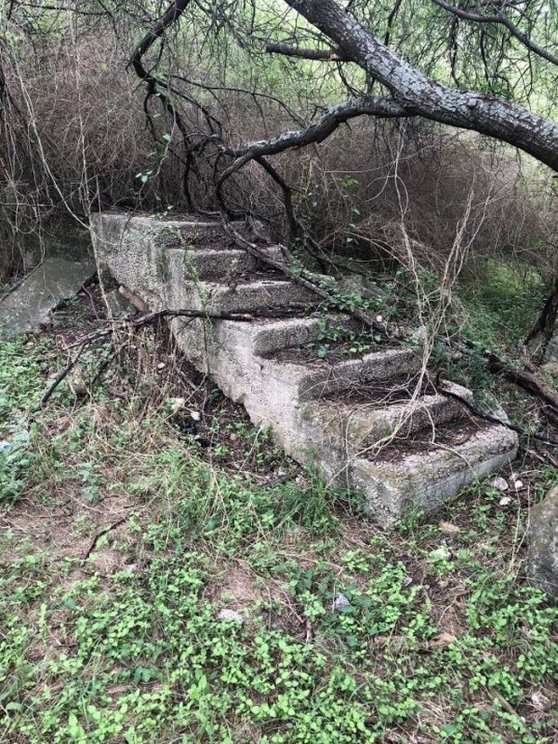 wtf stairs in the middle of the woods