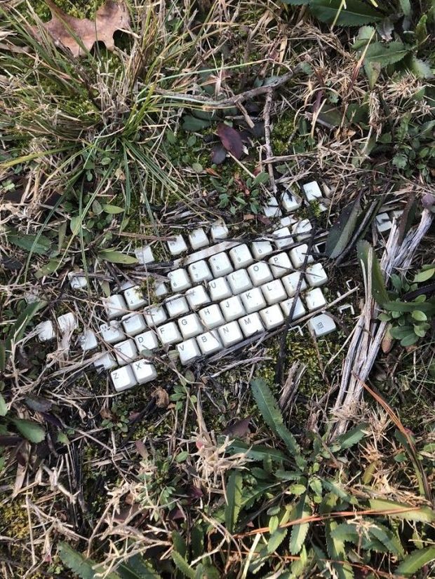 wtf keyboard in forest - To