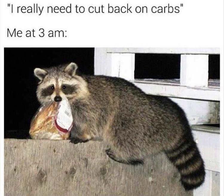 funny animal memes - "I really need to cut back on carbs" Me at 3 am