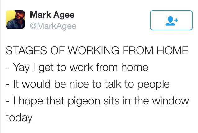 angle - Mark Agee Stages Of Working From Home Yay I get to work from home It would be nice to talk to people I hope that pigeon sits in the window today