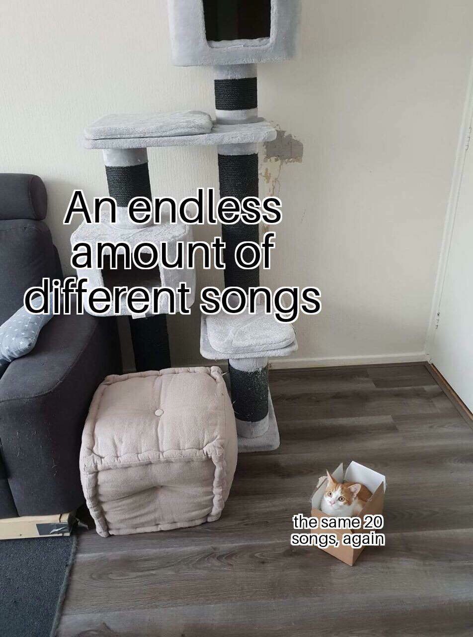 cat meme same 20 songs - An endless amount of different songs the same 20 songs, again