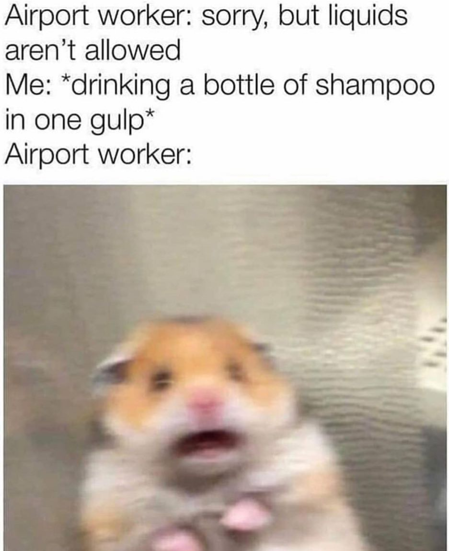 airport security meme - Airport worker sorry, but liquids aren't allowed Me drinking a bottle of shampoo in one gulp Airport worker