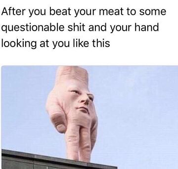 beat your meat meme - After you beat your meat to some questionable shit and your hand looking at you this