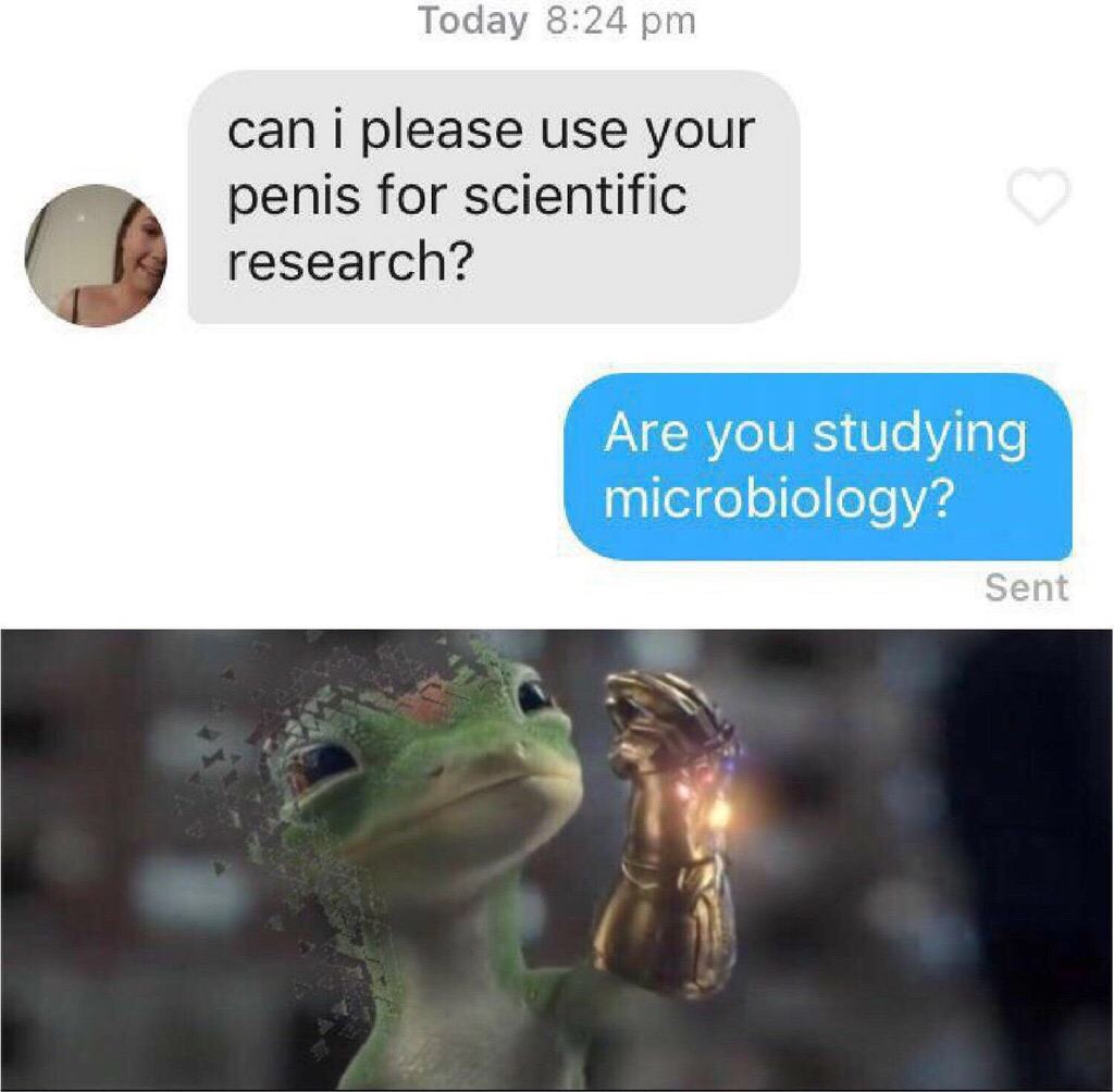 self destruction 100 meme - Today can i please use your penis for scientific research? Are you studying microbiology? Sent