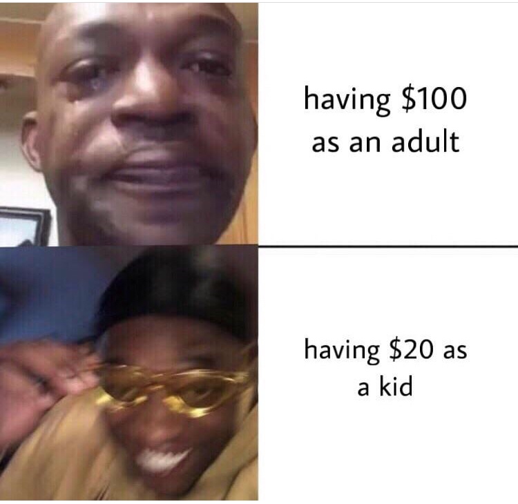 Meme - having $100 as an adult having $20 as a kid
