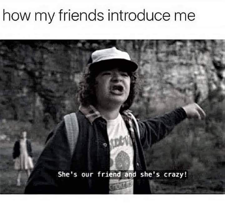 stranger things she's crazy meme - how my friends introduce me She's our friend and she's crazy!