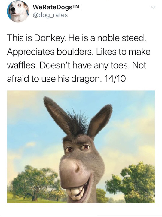 donkey shrek - WeRateDogsTM This is Donkey. He is a noble steed. Appreciates boulders. to make waffles. Doesn't have any toes. Not afraid to use his dragon. 1410