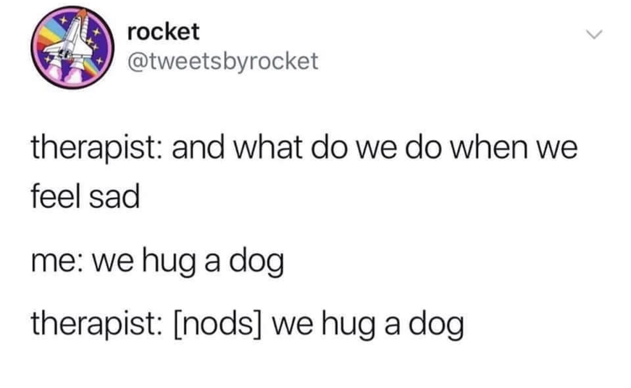 national roast day wendys - rocket therapist and what do we do when we feel sad me we hug a dog therapist nods we hug a dog