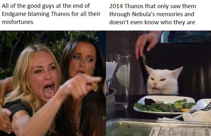 woman yelling at cat meme - All of the good guys at the end of Endgame blaming Thanos for all their misfortunes 2014 Thanos that only saw them through Nebula's memories and doesn't even know who they are