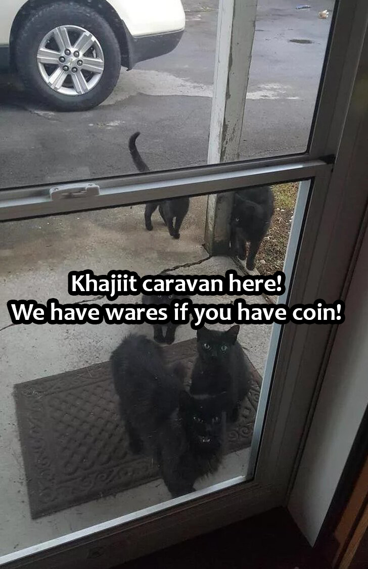 car - Khajiit caravan here! We have wares if you have coin!