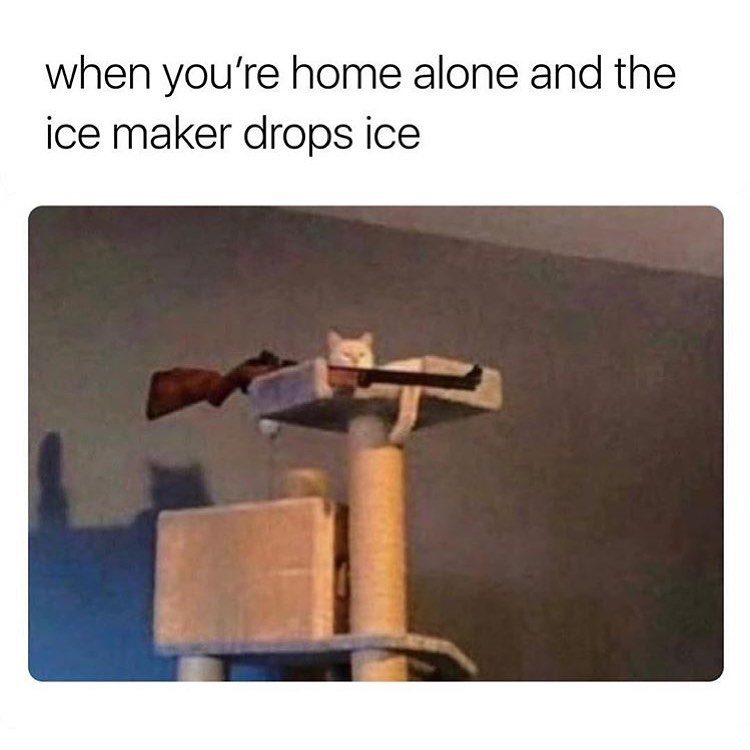 ice maker meme - when you're home alone and the ice maker drops ice