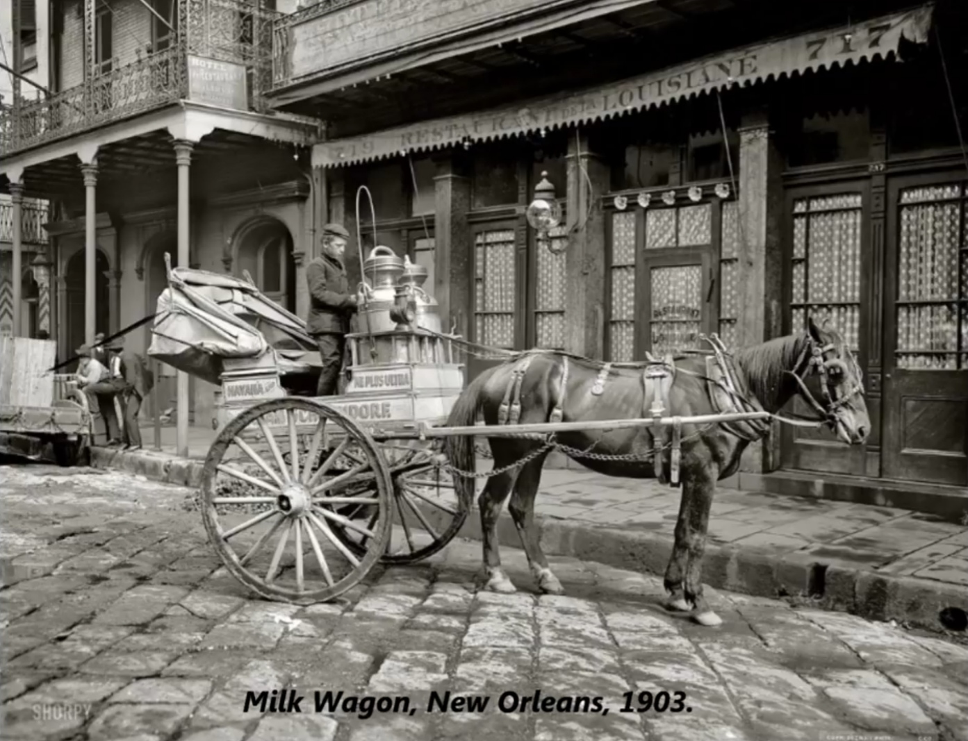 vintage photos of new orleans - Waliste Milk Wagon, New Orleans, 1903.