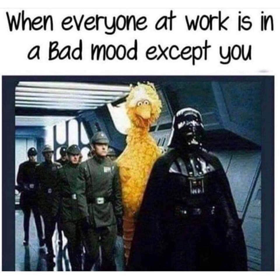 big bird darth vader meme - When everyone at work is in a bad mood except you