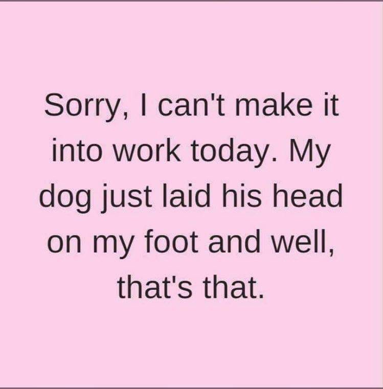 handwriting - Sorry, I can't make it into work today. My dog just laid his head on my foot and well, that's that.