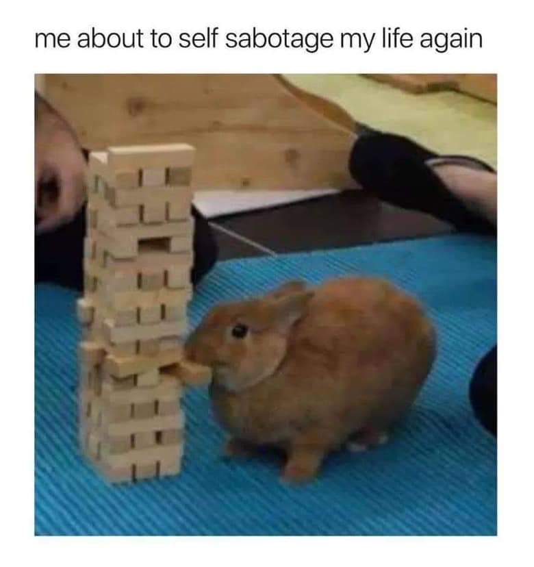 bunny playing jenga meme - me about to self sabotage my life again