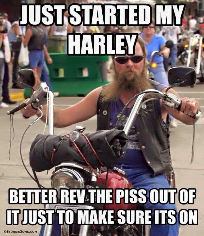 let me rev the piss out - Just Started My Harley Better Rev The Piss Out Of Itjust To Make Sure Its On Sturgiszone.Com