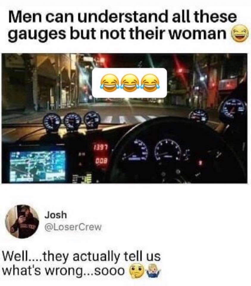 men can understand all these gauges but not women - Men can understand all these gauges but not their woman 239? 008 Josh Well....they actually tell us what's wrong...sooo