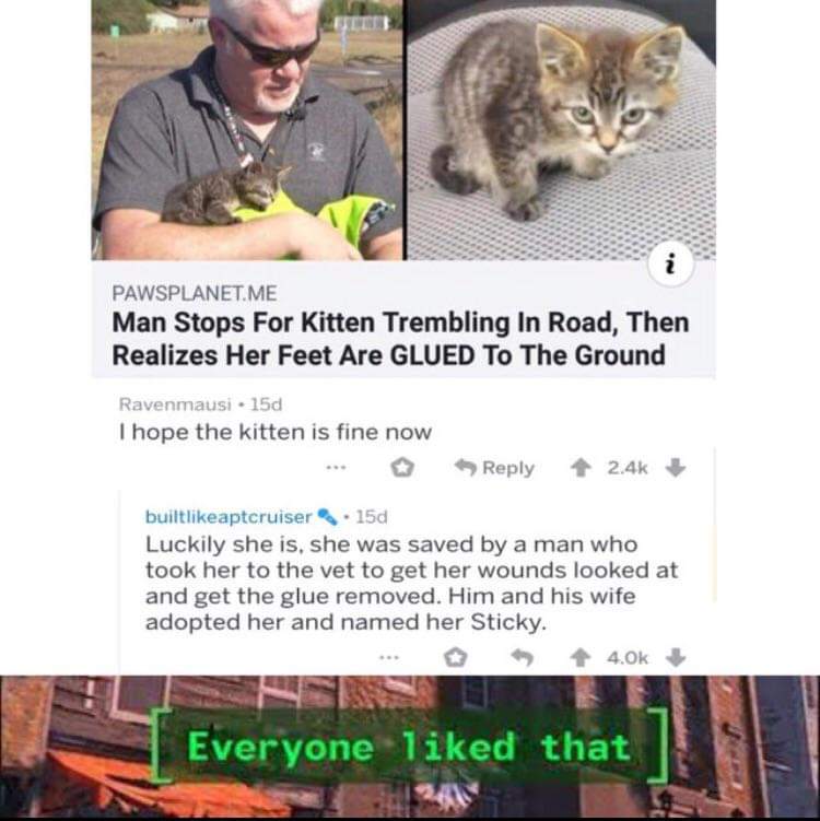 area 51 wholesome memes - Pawsplanet.Me Man Stops For Kitten Trembling In Road, Then Realizes Her Feet Are Glued To The Ground Ravenmausi 15d I hope the kitten is fine now ... > builtaptcruiser 150 Luckily she is, she was saved by a man who took her to th