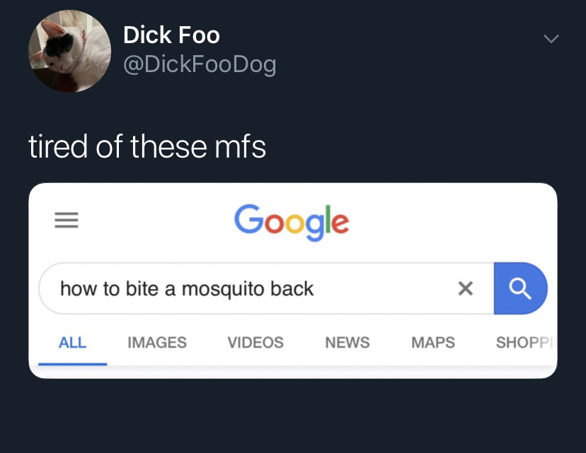 Dick Foo tired of these mfs Google how to bite a mosquito back All Images Videos News Maps Shoppi