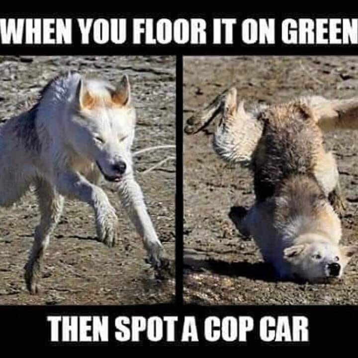 moonmoon meme - When You Floor It On Green Then Spot A Cop Car