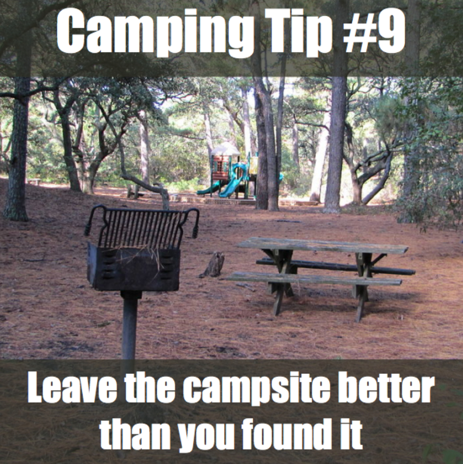 tree - Camping Tip Leave the campsite better than you found it