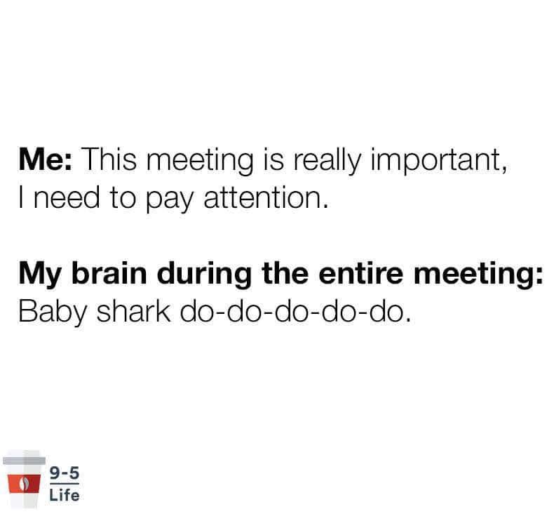 angle - Me This meeting is really important, I need to pay attention. My brain during the entire meeting Baby shark dododododo. 95 Life