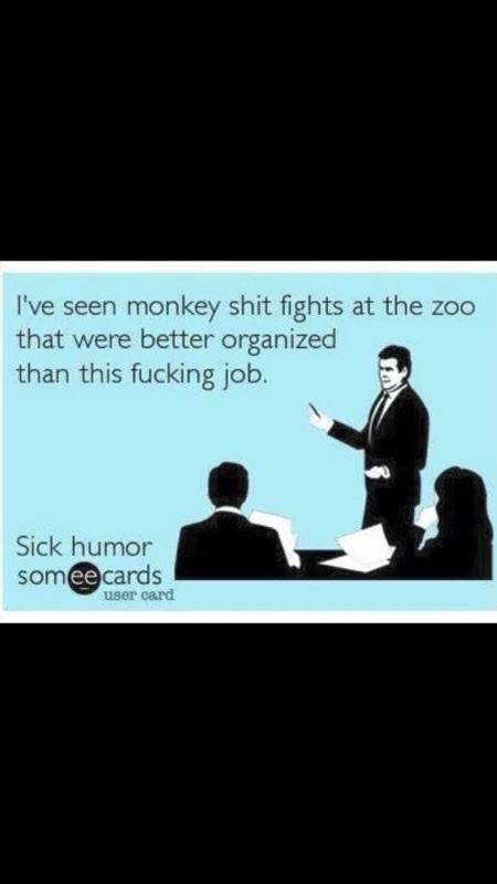 sorry for being a jerk - I've seen monkey shit fights at the zoo that were better organized than this fucking job. Sick humor somee cards user card