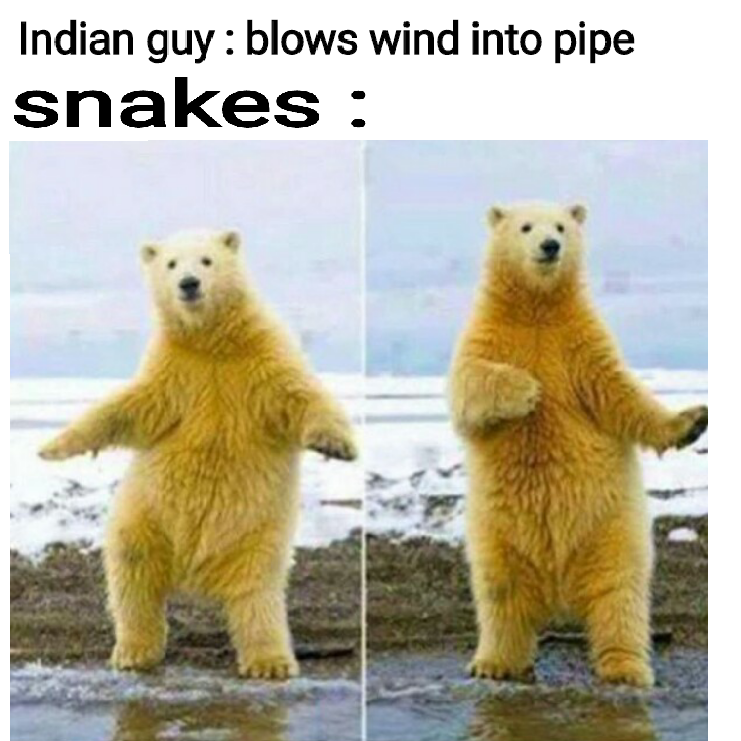 Indian guy blows wind into pipe snakes