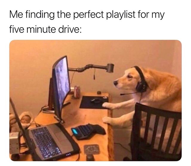 gamer doggo - Me finding the perfect playlist for my five minute drive