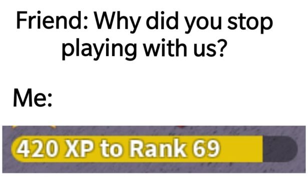 Video game - Friend Why did you stop playing with us? Me 420 Xp to Rank 69