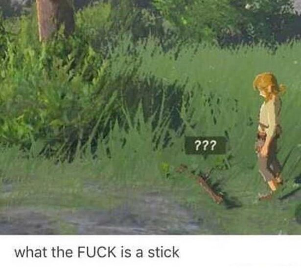 The Legend of Zelda - ??? what the Fuck is a stick