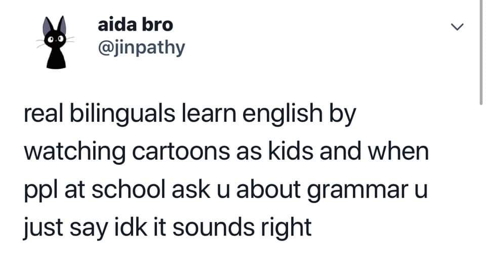 document - aida bro real bilinguals learn english by watching cartoons as kids and when ppl at school ask u about grammar u just say idk it sounds right