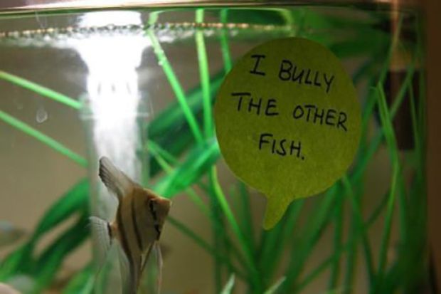 15 Pics Of Fish That prove Humans Don't Have Monopoly On Being Assholes