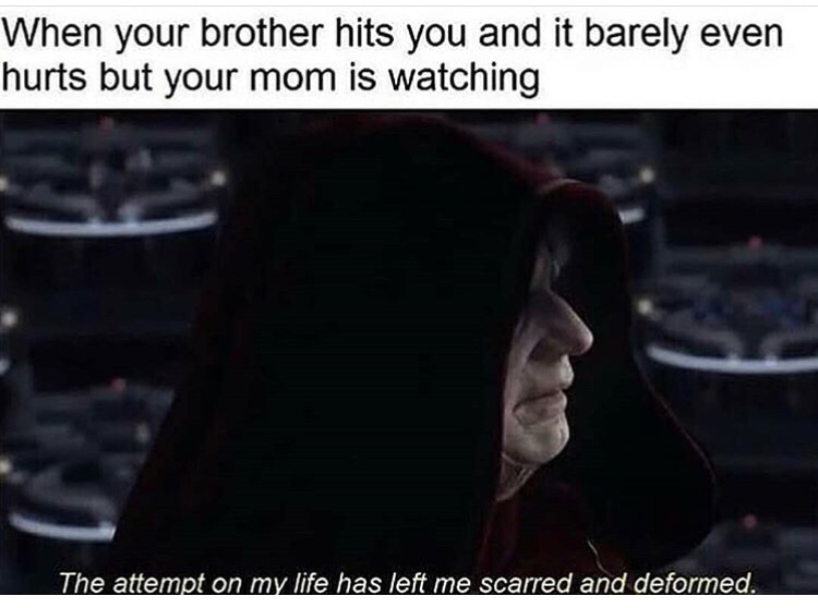 attempt on my life has left me scarred and deformed - When your brother hits you and it barely even hurts but your mom is watching The attempt on my life has left me scarred and deformed.