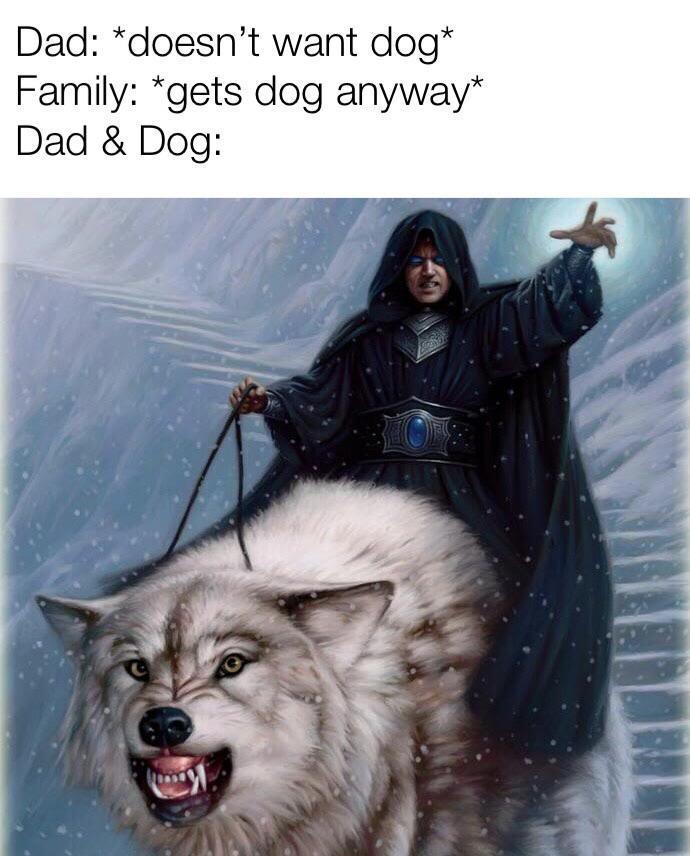 dad and dog memes - Dad doesn't want dog Family gets dog anyway Dad & Dog