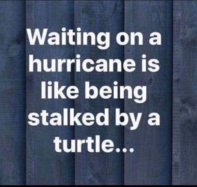 Hurricane Dorian Florida meme - texture - Waiting on a hurricane is being stalked by a turtle...