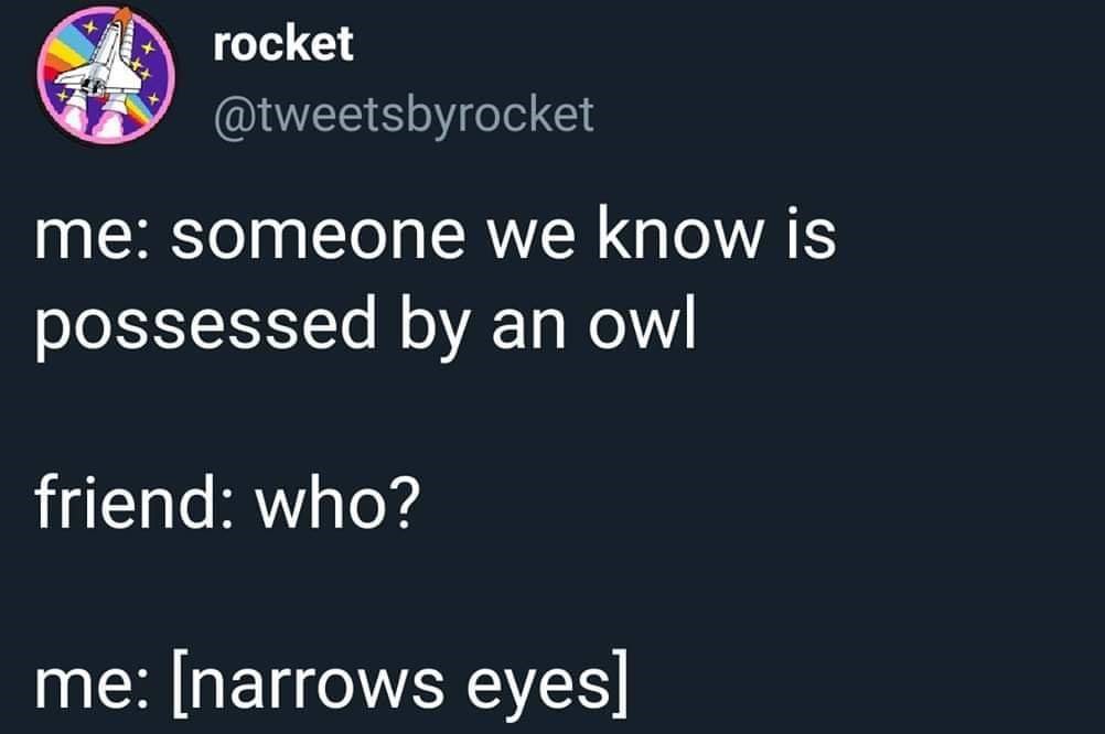 lyrics - rocket me someone we know is possessed by an owl friend who? me narrows eyes