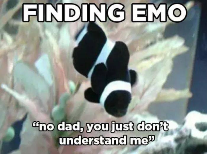 emo nemo meme - Finding Emo no dad, you just don't understand med