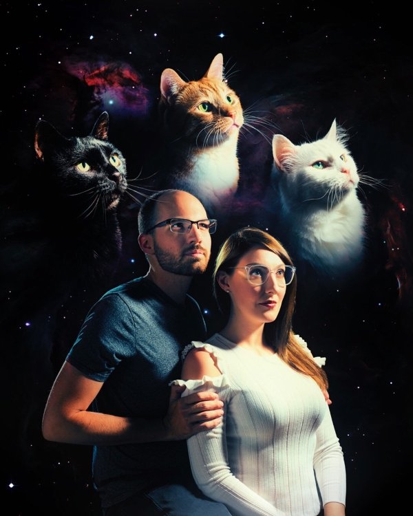 cat family portrait