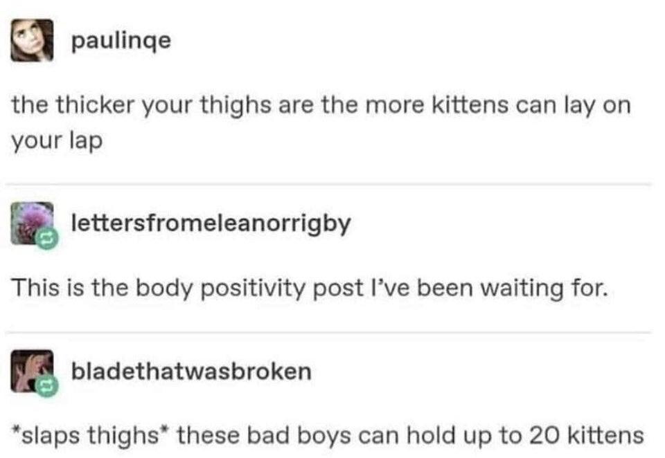 document - paulinge the thicker your thighs are the more kittens can lay on your lap lettersfromeleanorrigby This is the body positivity post I've been waiting for. bladethatwasbroken slaps thighs these bad boys can hold up to 20 kittens