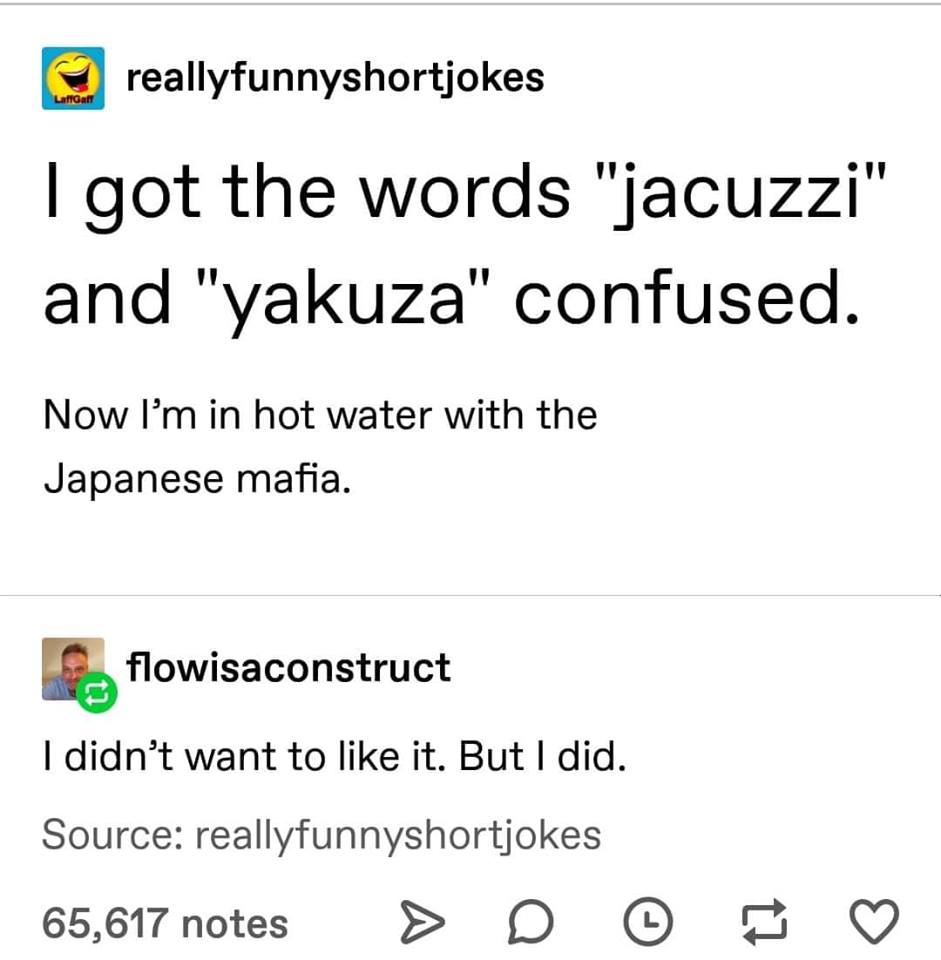 Yakuza - LaflGaff reallyfunnyshortjokes I got the words "jacuzzi" and "yakuza" confused. Now I'm in hot water with the Japanese mafia. flowisaconstruct I didn't want to it. But I did. Source reallyfunnyshortjokes 65,617 notes > D